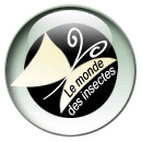 monde-insectes