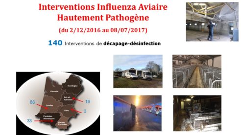 Influenza Aviaire 2016/2017