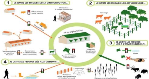 La biosécurité en élevage